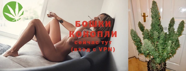 гидра Белокуриха