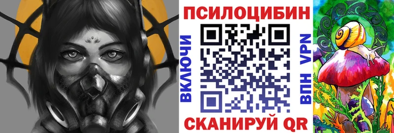 где продают наркотики  Городовиковск  Галлюциногенные грибы Psilocybe 